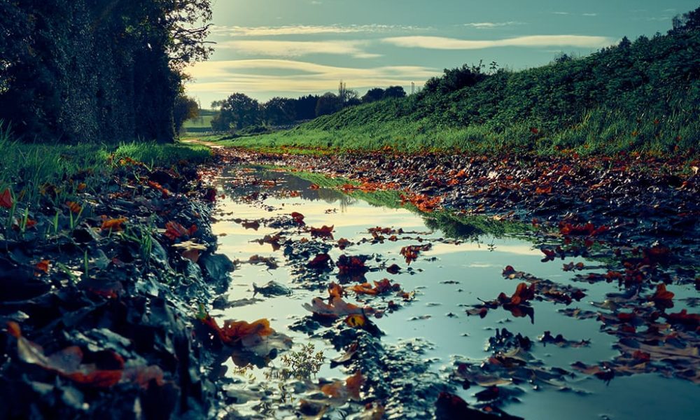 La campagne Mélorienne sous le soleil de l’automne 2020