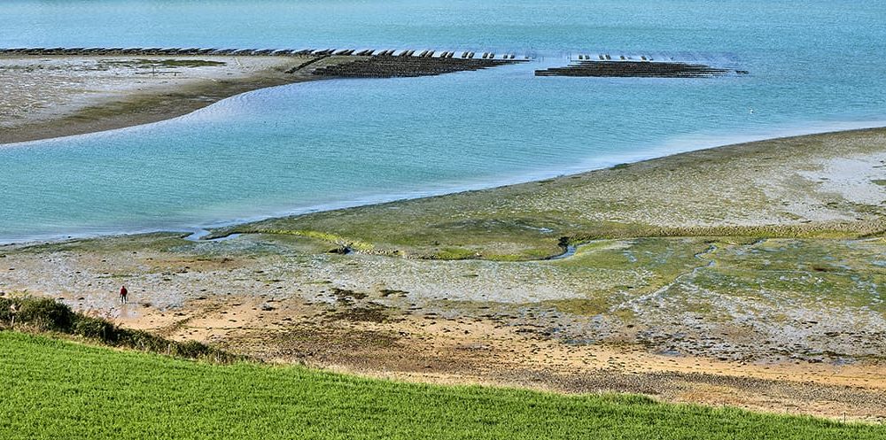 Le pêcheur à pied